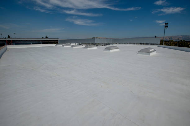 Best Roof Coating and Sealing  in Morgans Point Resort, TX